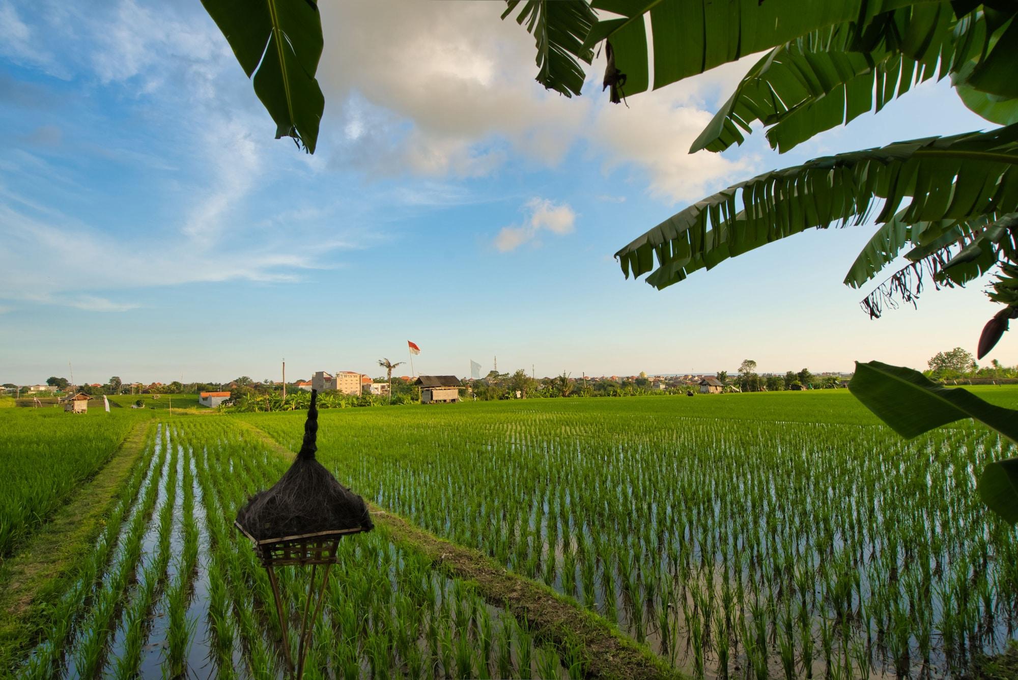 Sotis Villas Canggu Eksteriør bilde